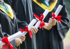 Məzunların iş tapması üçün universitetlər nə etməlidir? 
