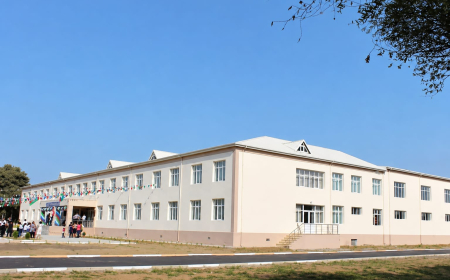 Düzgün yanaşma, böyük zəhmət və yüksək nəticə  