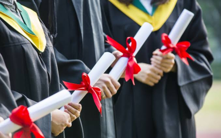 Məzunların iş tapması üçün universitetlər nə etməlidir? 