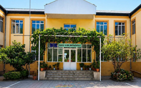 Qubadlı məktəbinin 1 sinfinin 8 məzunu 600-dən çox bal topladı 