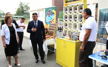 Qəbələ Dövlət Peşə Təhsil Mərkəzində “Açıq qapı” günü keçirilib
