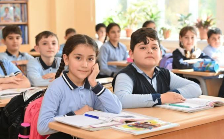 “Təmayül seçimi “ixtisas seçimi” ilə eyniləşdirilməməlidir”