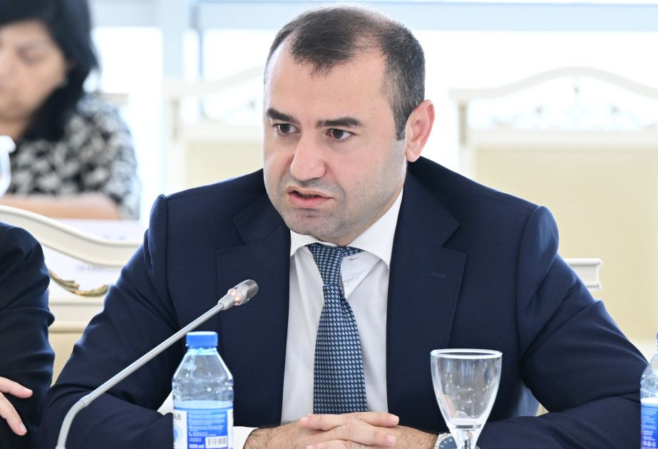 Nümunəvi dövlət kitabxanalarının sayı çox azdır