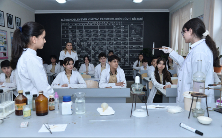 Təmayül tədris modelinin tətbiq olunduğu məktəblərin sayı 90-a çatdırılır 