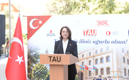 Təcrübələrin birləşməsi ortaq bilik istehsalı potensialı yaradır - Yurdagül Aydoğan