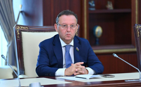 Samir Vəliyev: Bəzi ixtisasların müddəti yenə də 4 illik olmalıdır 