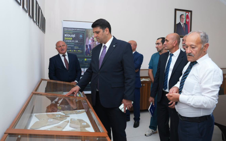 NDU-da Paleobotanika muzeyi yaradılıb 
