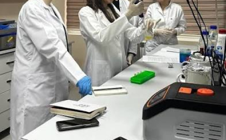 Bütün universitetlər tədqiqatla məşğul olmalıdırmı?  