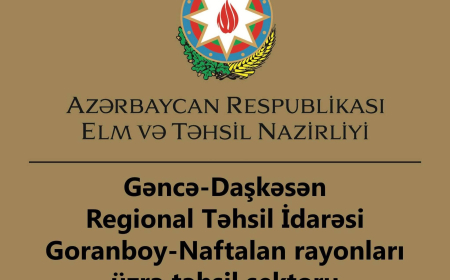 Vətəndaş qəbulu zamanı insident yarandı: Araşdırma aparılır