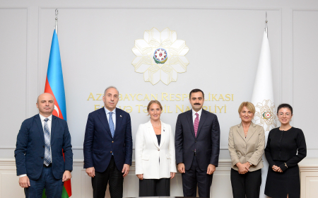 Azərbaycan Gürcüstanla elm və təhsil üzrə əməkdaşlığı müzakirə edib