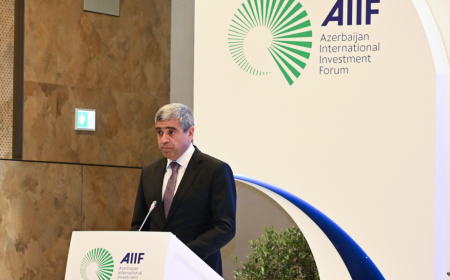 İnsan kapitalının inkişafı uzunmüddətli inkişaf strategiyasının tərkib hissəsidir - Anar Əliyev