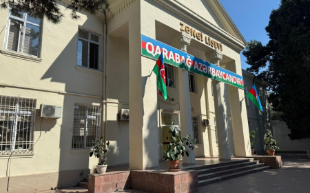 Qonşuluqda yanan ağac məktəbə elektrik verilişində qısa fasilə yaratdı