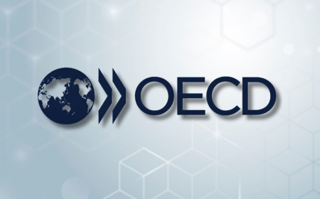 “Bir baxışda təhsil” – OECD-nin yeni hesabatı açıqlanıb