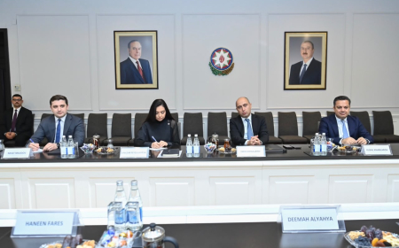 Elm və təhsil naziri Rəqəmsal Əməkdaşlıq Təşkilatının Baş katibi ilə görüşüb 