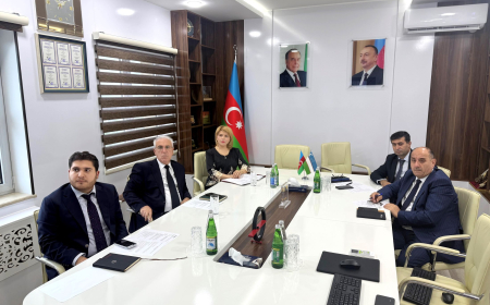 BMU ilə Özbəkistanın Milli Tədqiqat Universiteti arasında əməkdaşlıq genişlənir 