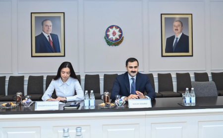 Həsən Həsənli Türkiyənin milli təhsil nazirinin müavini ilə görüşüb 