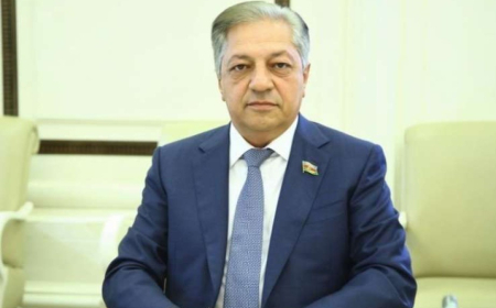 Şagirdlərin etirazları onların şəxsi təşəbbüsləri ilə bağlı deyil