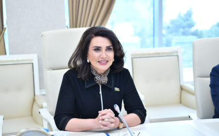 Jalə Əliyeva – Müzakirələr emosional deyil, təhsil müstəvisində aparılmalıdır