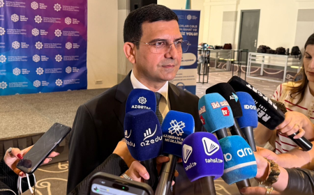 Rəşad Mustafayev: DP məzunlarının bacarıqlarından səmərəli istifadə etməliyik
