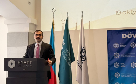 Xaricdə təhsilə yönəldilən investisiyaların nəticələri özünü göstərir – Nazir müavini