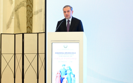 Samir Məmmədov: Uşaqların internetdən istifadəsi tamamilə məhdudlaşdırılmır 