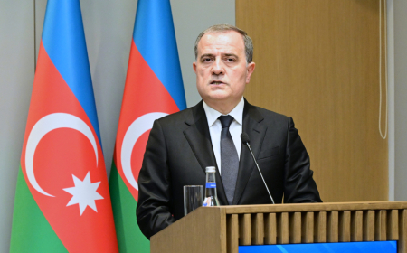 Ceyhun Bayramov: Son tədris ilində 250 azərbaycanlı Niderland universitetlərinə daxil olub