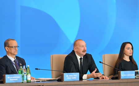 Prezident: Müstəqil ölkəyə nəyi etmək, nəyi etməmək barədə dərslər verilməli deyil