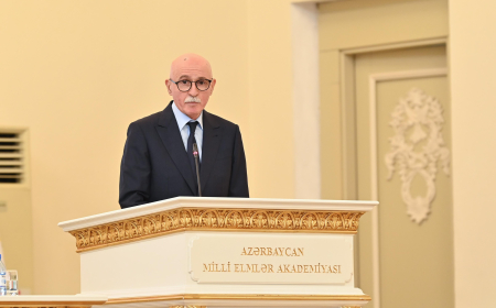 Milli azlıqların ana dillərinin tədrisi üçün imkanlar yaradılıb