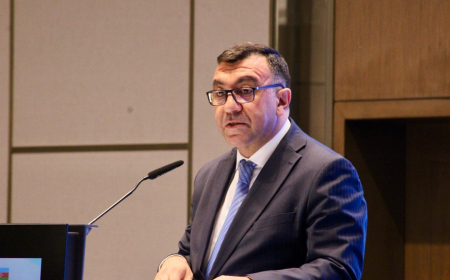 Rəqabətədavamlı insan kapitalını tək bir institut yarada bilməz