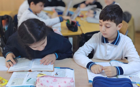 Oxuyub-anlama bacarığı yalnız Azərbaycan dili dərslərində formalaşdırılmamalıdır 