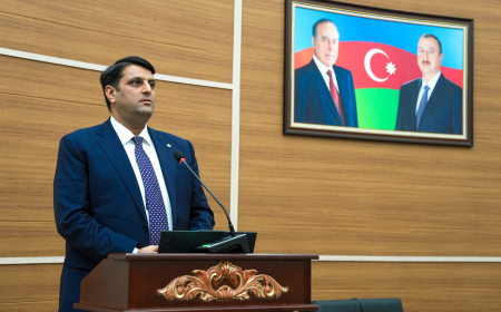 Elbrus İsayev: Naxçıvan böyük elmi platformaya ev sahibliyi edir