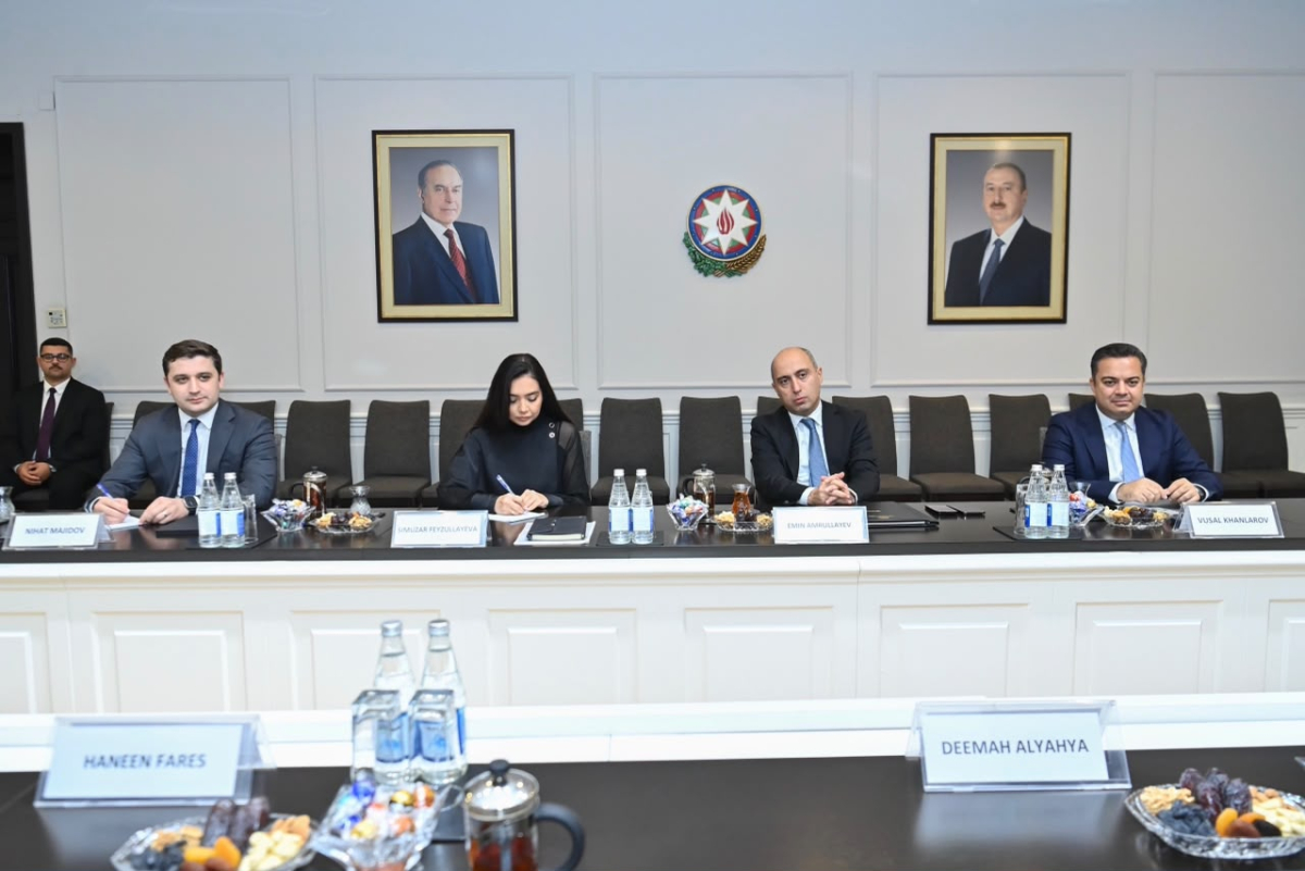Elm və təhsil naziri Rəqəmsal Əməkdaşlıq Təşkilatının Baş katibi ilə görüşüb