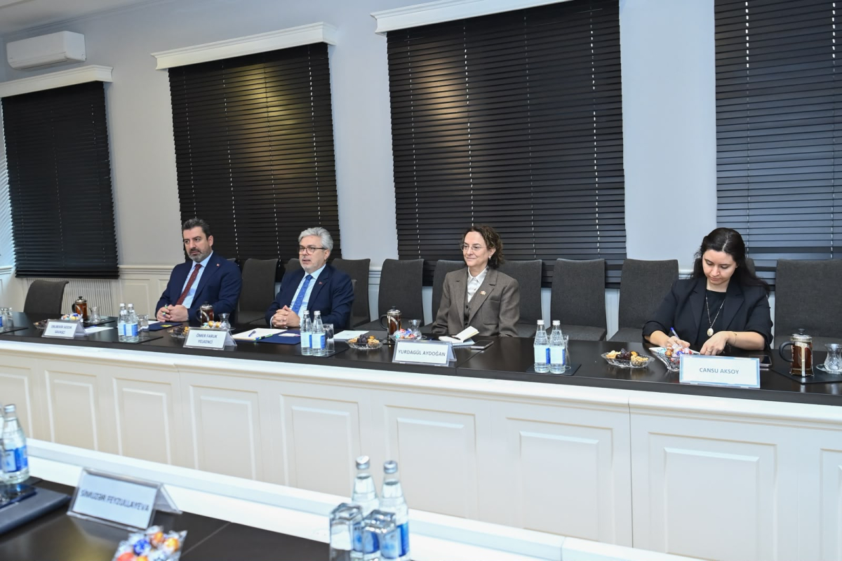 Həsən Həsənli Türkiyənin milli təhsil nazirinin müavini ilə görüşüb