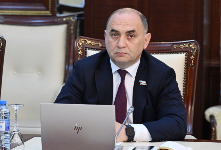 Təxribat cəhdlərinin göstərilməsi birmənalı şəkildə yolverilməzdir