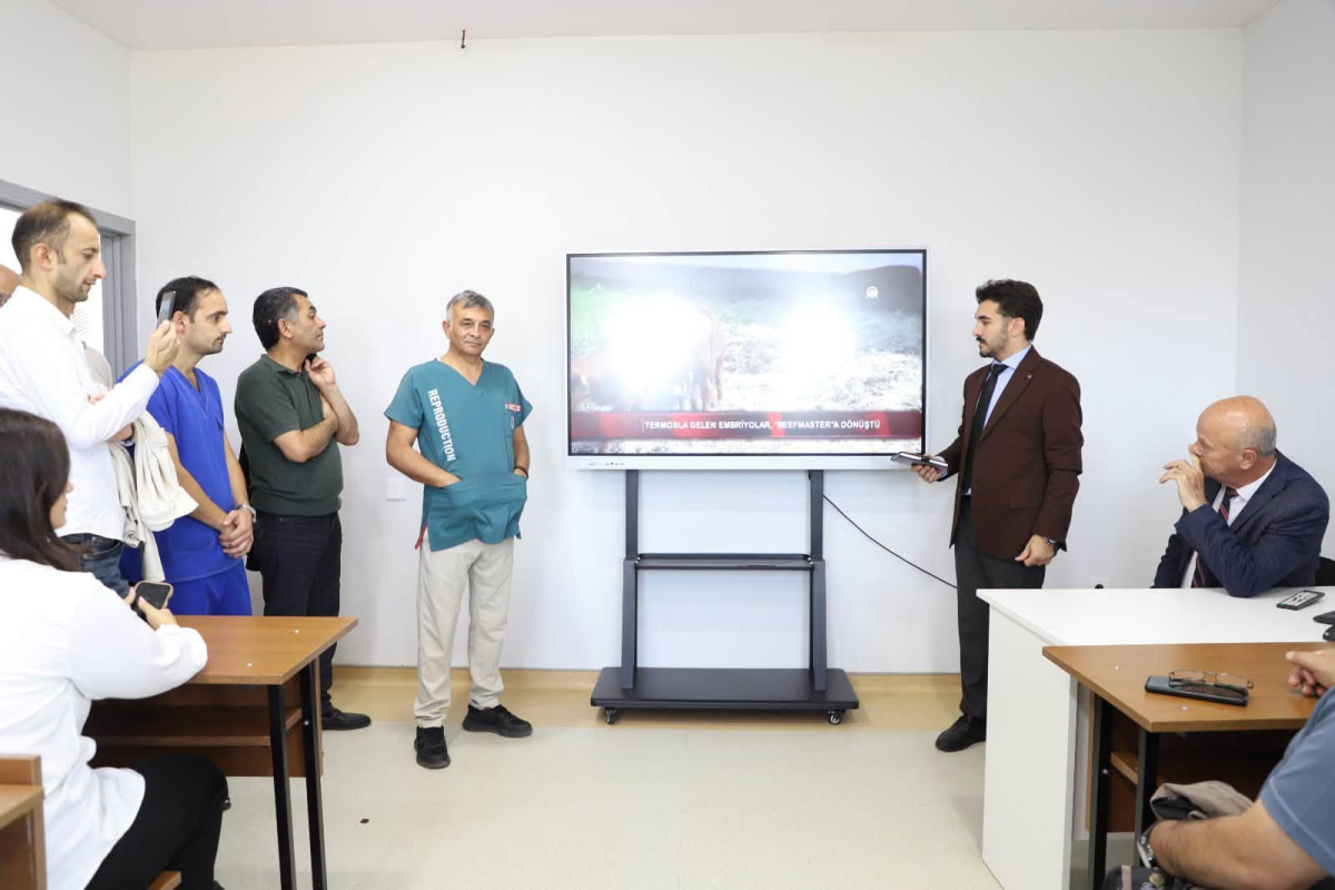 Peşə təhsili üzrə beynəlxalq təlim iştirakçıları LDU-da olub