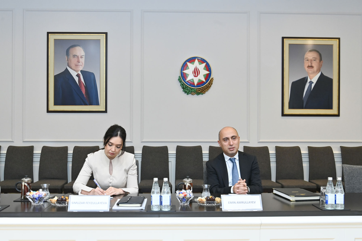 Elm və təhsil naziri Almaniyanın Saksoniya federal torpağının elm naziri ilə görüşüb