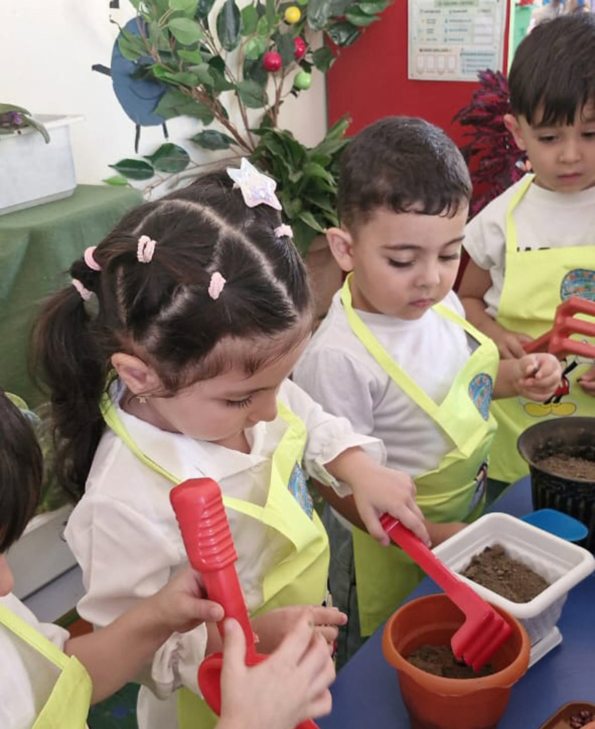 Bağçalarda yeni inkişafetdirici layihəyə start verilib