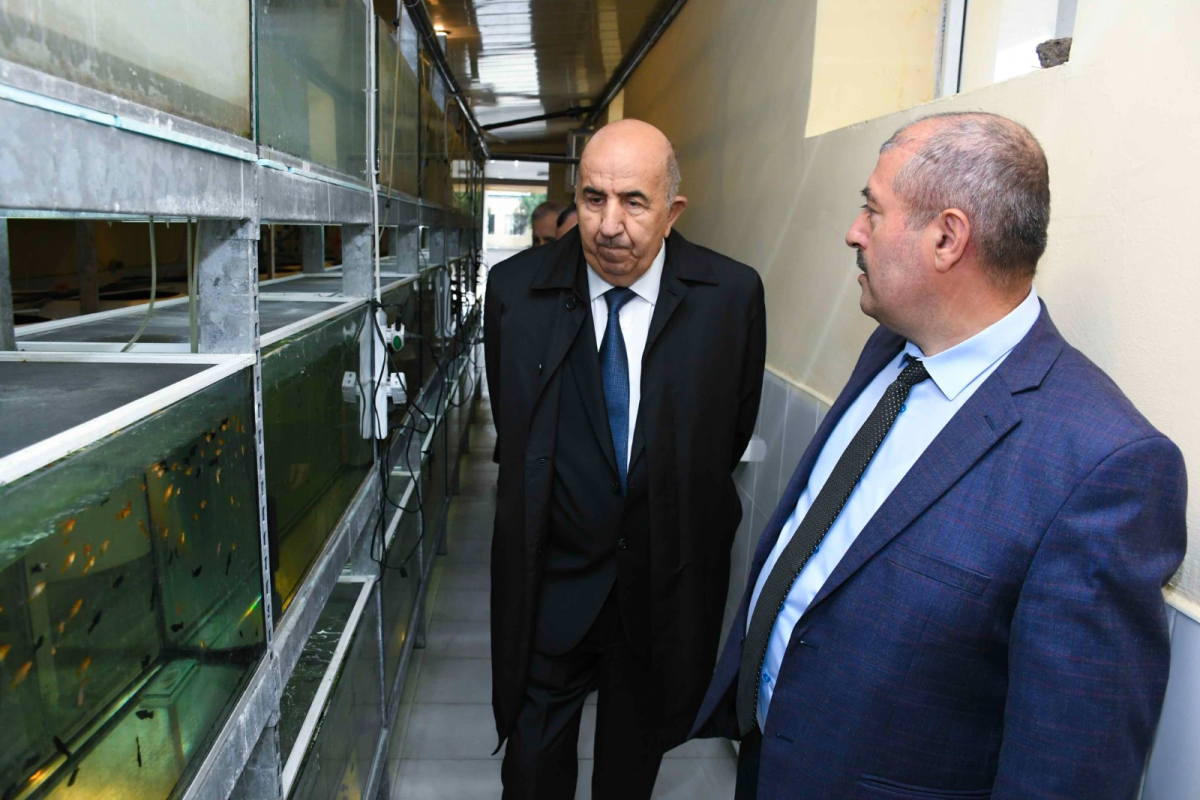 ADAU ilə Neft-Kimya Prosesləri İnstitutu arasında memorandum imzalanıb