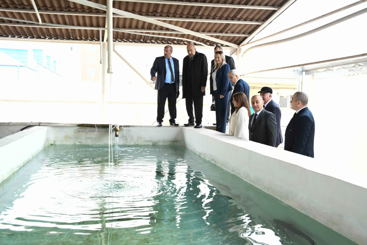 ADAU ilə Neft-Kimya Prosesləri İnstitutu arasında memorandum imzalanıb