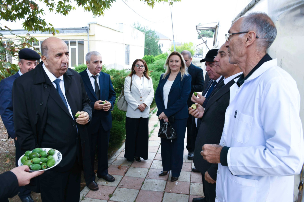 ADAU ilə Neft-Kimya Prosesləri İnstitutu arasında memorandum imzalanıb
