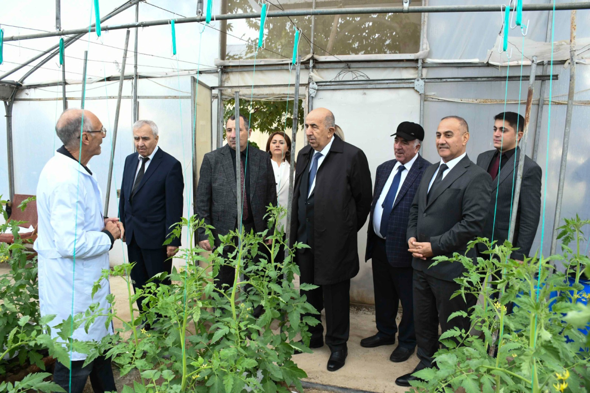 ADAU ilə Neft-Kimya Prosesləri İnstitutu arasında memorandum imzalanıb