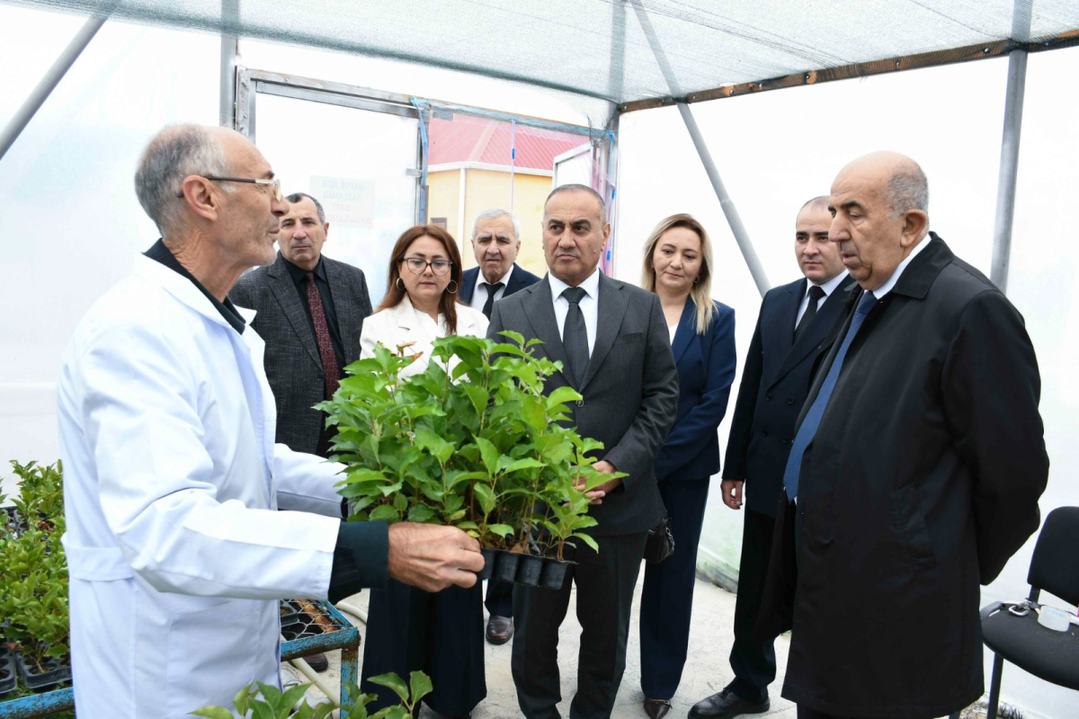 ADAU ilə Neft-Kimya Prosesləri İnstitutu arasında memorandum imzalanıb