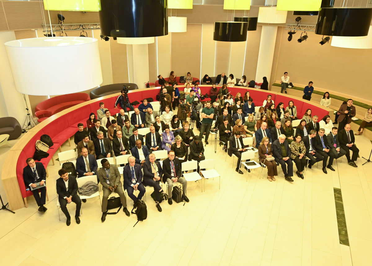 ADA-da mədəniyyətlərarası dialoq, təhsil və rəqəmsal transformasiya mövzusunda sessiya keçirilib